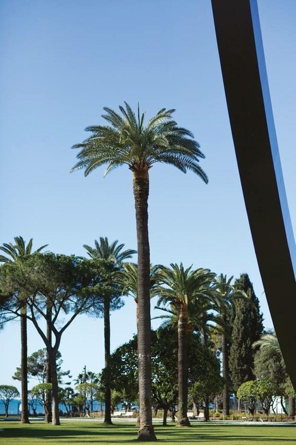 Ferienwohnung Le Prefecture - Luxueux F3 En Duplex, Ascenseur, Coeur Vieux-Nizza Exterior foto